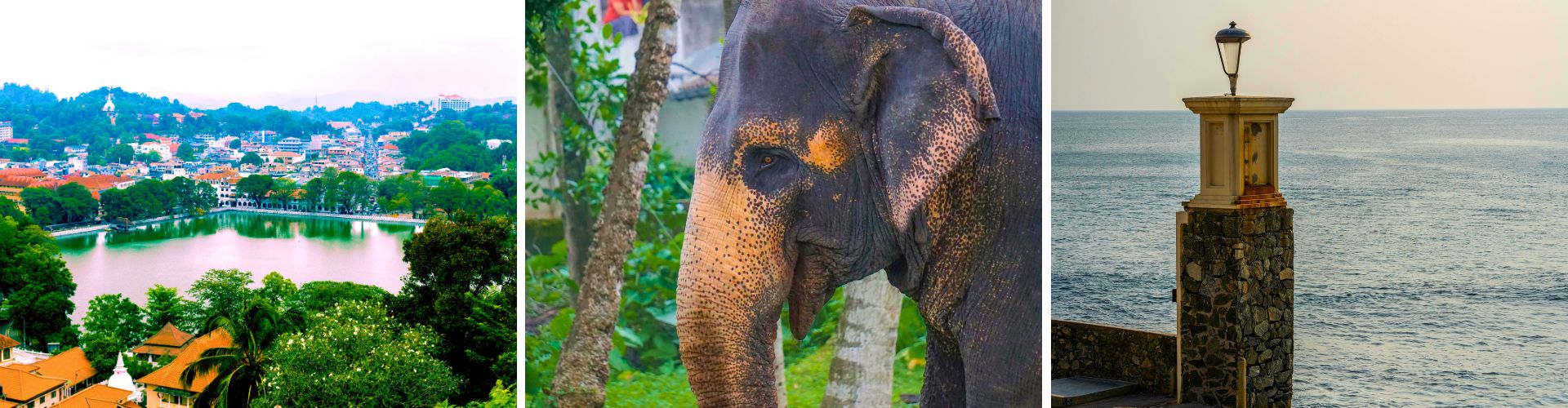 Sri Lanka Sri Lanka 1 WOLO Travel